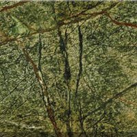 Rainforest Green